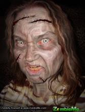 Diamondaback's Zombie